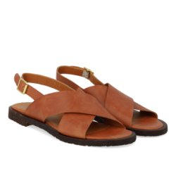 Angulus 5637 ny tan