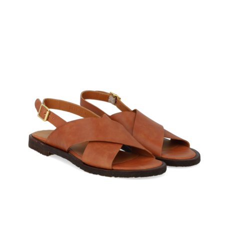 Angulus 5637 ny tan