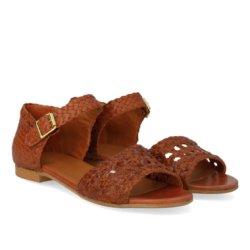Angulus 5844 tan