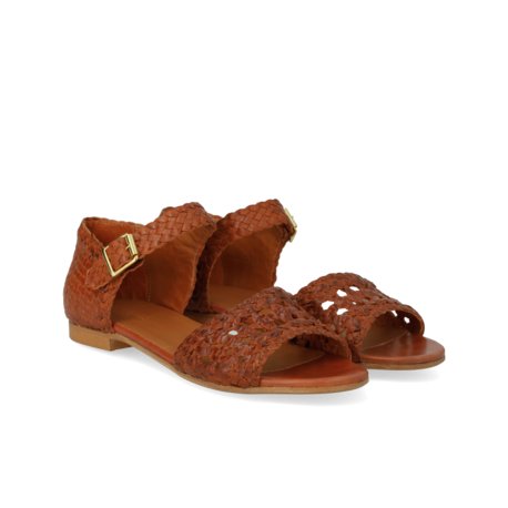 Angulus 5844 tan