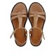 Angulus 5415 clay