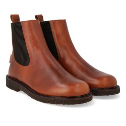 Angulus 7863