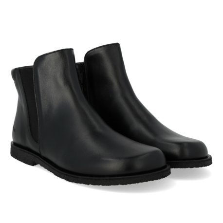 Angulus 7855
